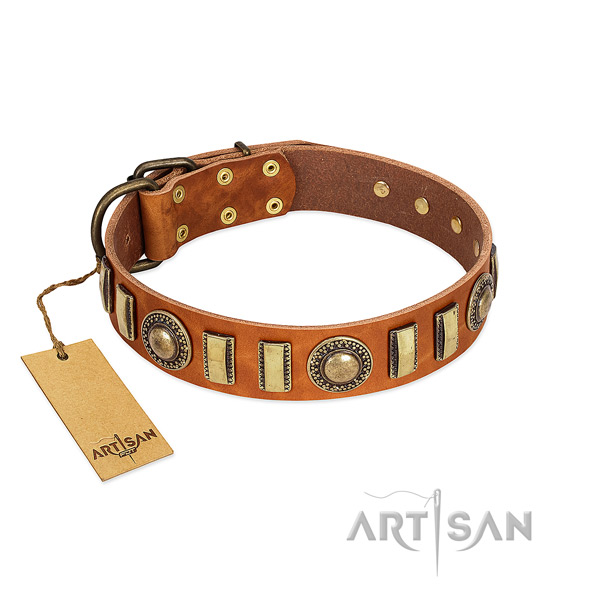 Top rate leather dog collar with strong buckle