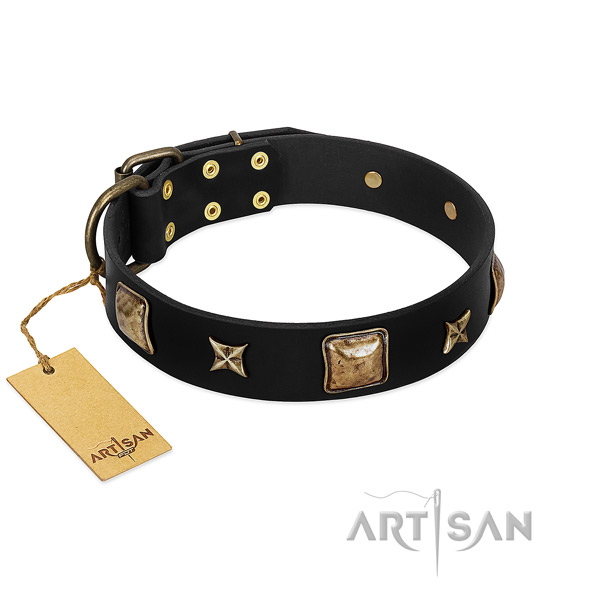 Full grain genuine leather dog collar of soft material with stylish design adornments