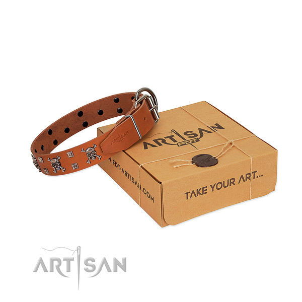 Flexible full grain leather dog collar with strong traditional buckle