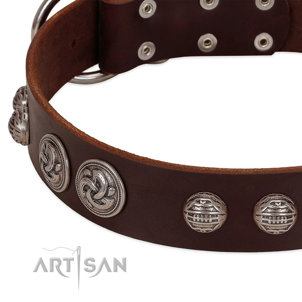 Reliable hardware on full grain natural leather collar for daily walking your canine