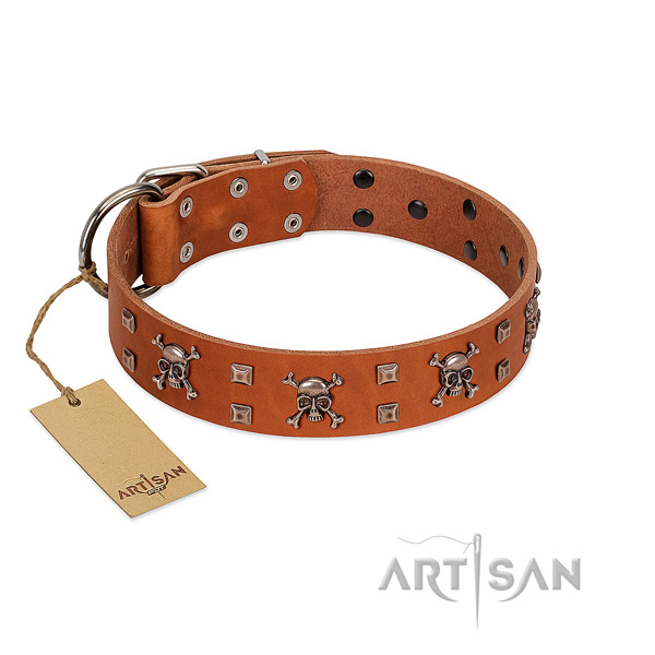 Full grain leather dog collar with impressive embellishments