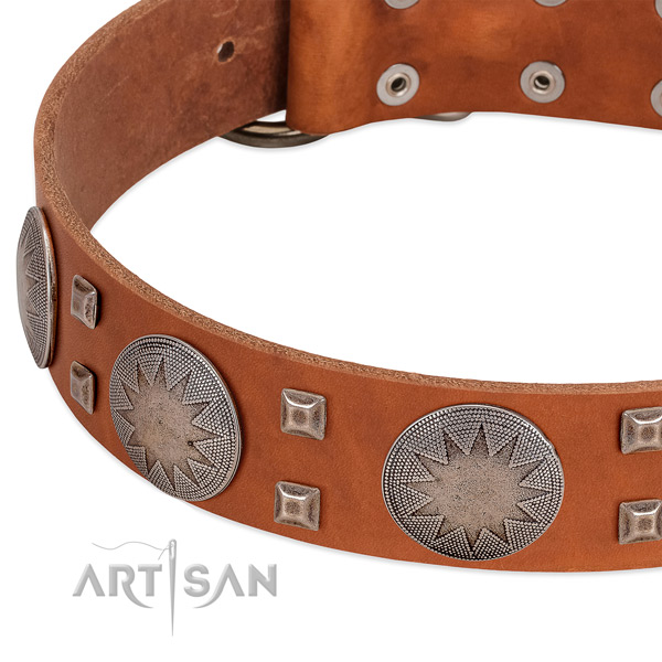 Everyday use gentle to touch leather dog collar