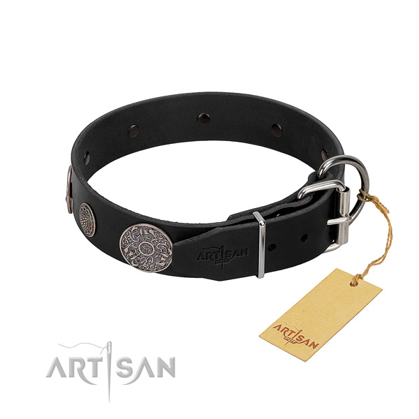 Rust resistant studs on full grain natural leather dog collar