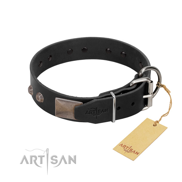 Extraordinary genuine leather dog collar for daily walking your pet