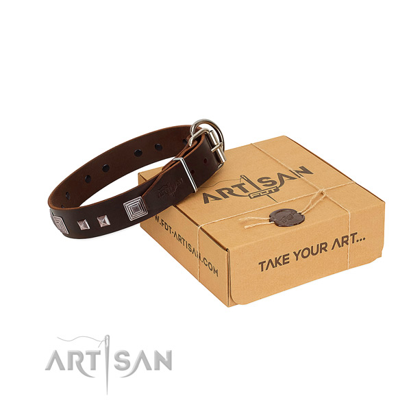 Stunning genuine leather collar with decorations for your four-legged friend