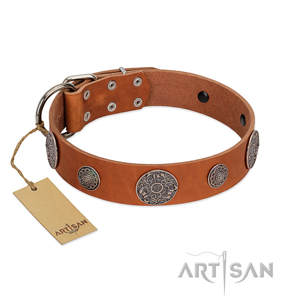 Easy wearing leather collar for your stylish four-legged friend