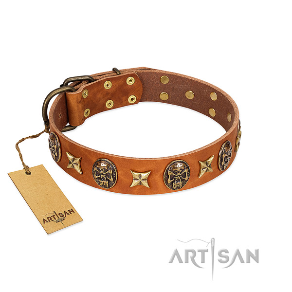 Comfortable leather collar for your doggie