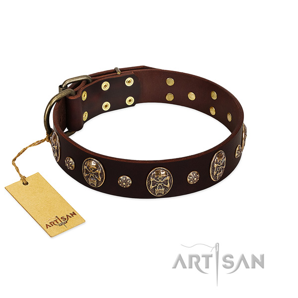 Exquisite full grain genuine leather collar for your four-legged friend