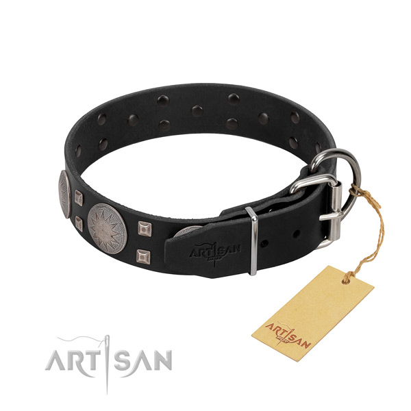 Exquisite full grain genuine leather dog collar for everyday walking your pet