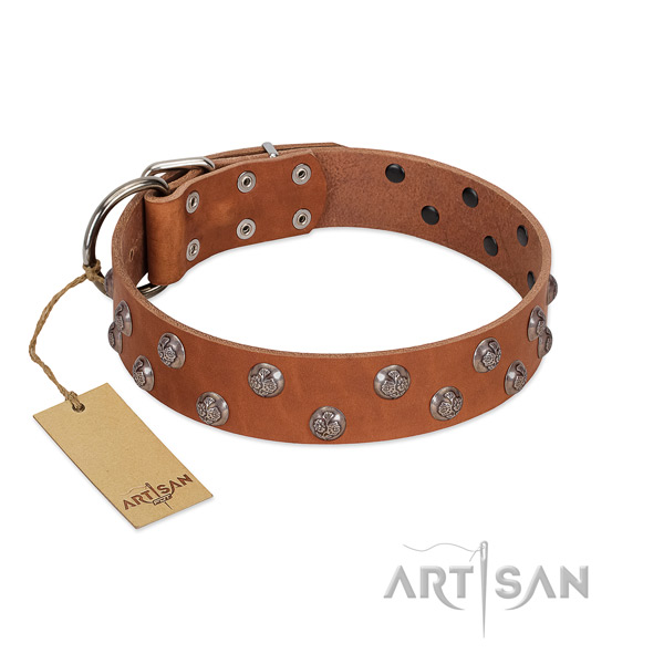 Top notch leather dog collar with adornments