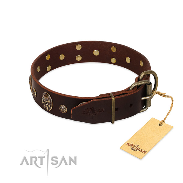 Reliable adornments on full grain genuine leather dog collar for your doggie