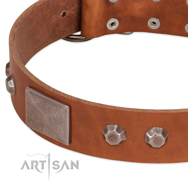 Easy wearing soft full grain natural leather dog collar