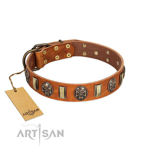 Unusual full grain natural leather dog collar for everyday walking