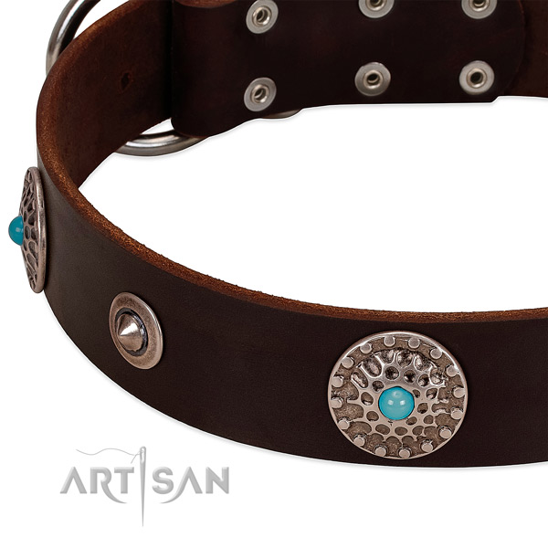 Decorated collar of natural leather for your lovely four-legged friend