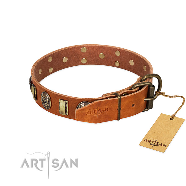 Leather dog collar with rust resistant fittings and decorations