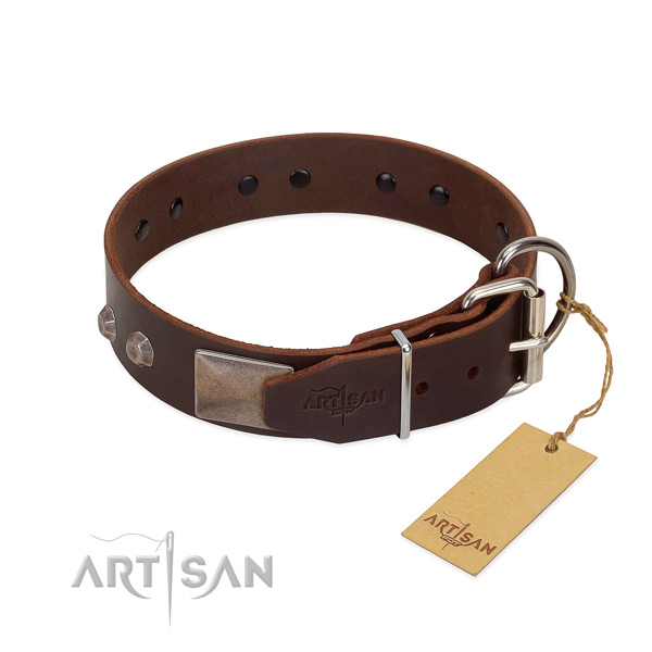 Unusual leather dog collar for walking your doggie