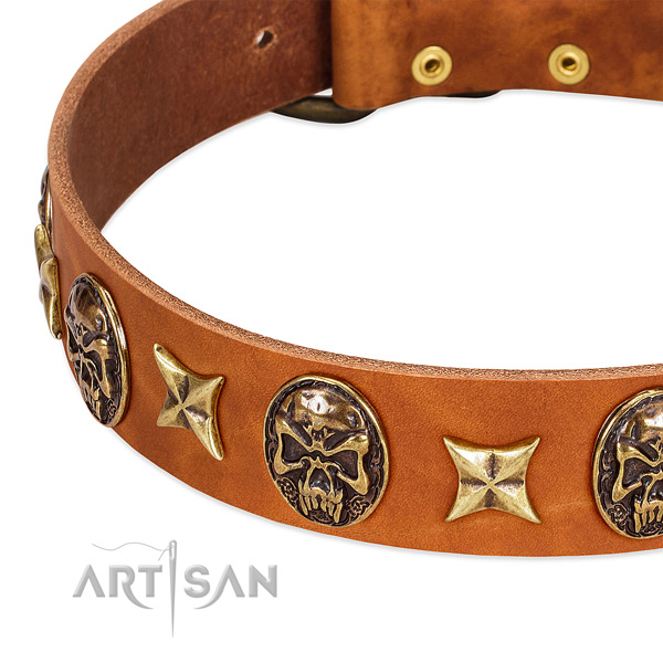 Reliable fittings on natural genuine leather dog collar for your pet