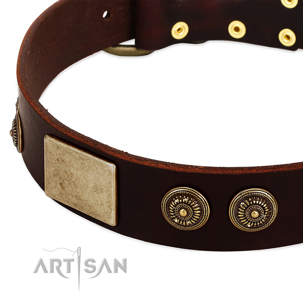 Corrosion proof studs on full grain genuine leather dog collar for your four-legged friend