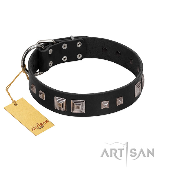 Top quality leather collar for your attractive doggie