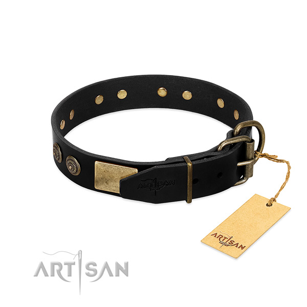 Rust-proof buckle on full grain natural leather dog collar for your dog