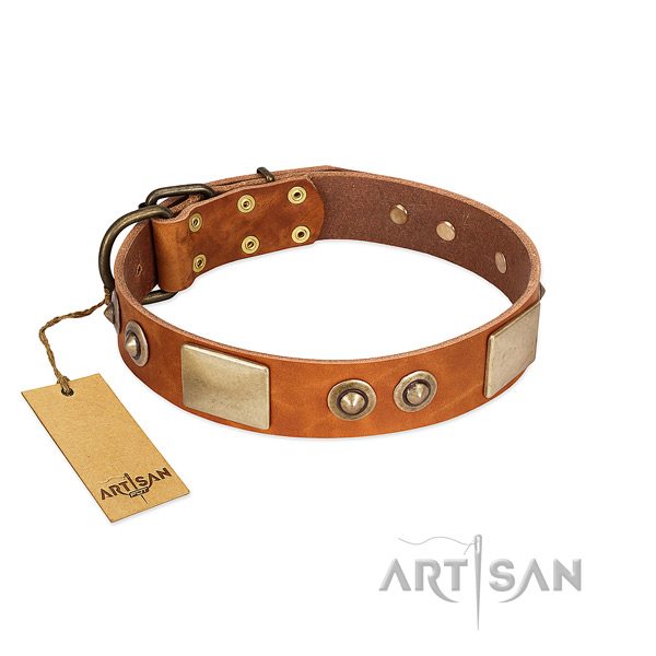 Easy adjustable genuine leather dog collar for stylish walking your canine