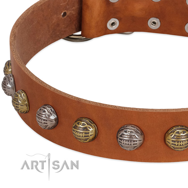 Reliable traditional buckle on full grain genuine leather collar for daily walking your canine