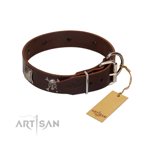 Unusual full grain leather collar for your impressive doggie