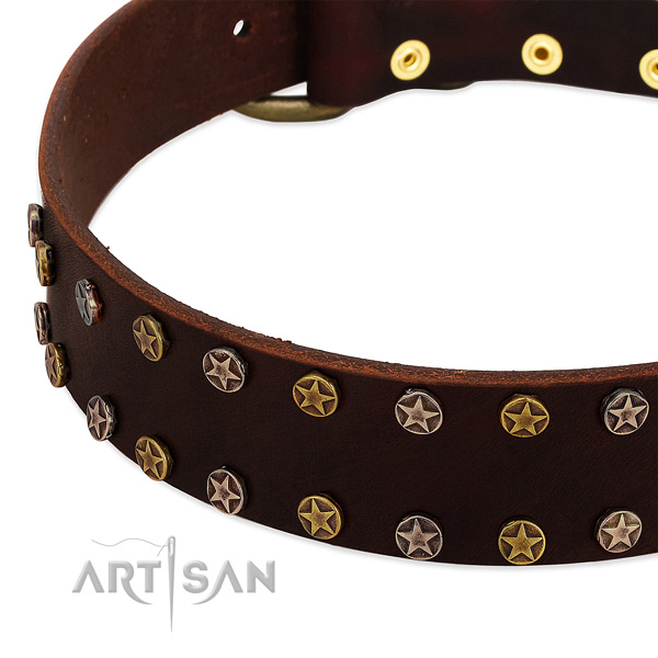 Fancy walking full grain leather dog collar with amazing decorations