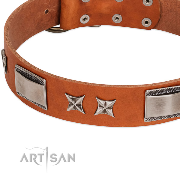 Best quality genuine leather dog collar with durable fittings