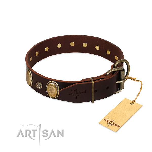 Stylish walking gentle to touch leather dog collar