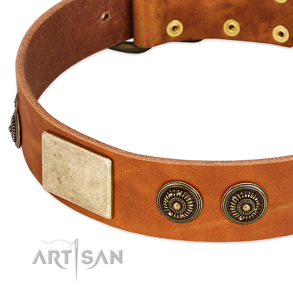 Corrosion resistant traditional buckle on leather dog collar for your four-legged friend