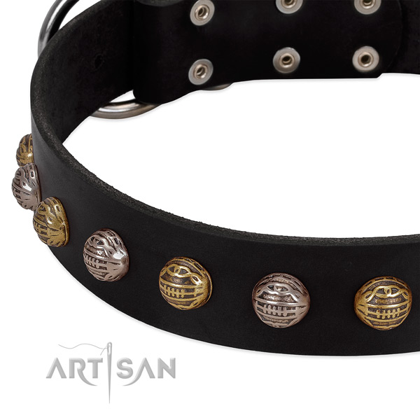 Leather dog collar with strong hardware and decorations