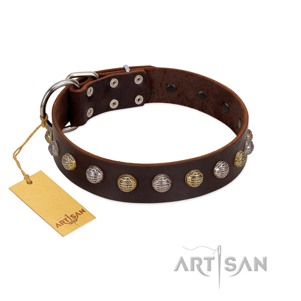 Rust-proof D-ring on full grain natural leather dog collar for stylish walking your pet