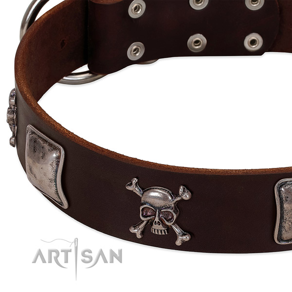 Durable D-ring on full grain genuine leather dog collar
