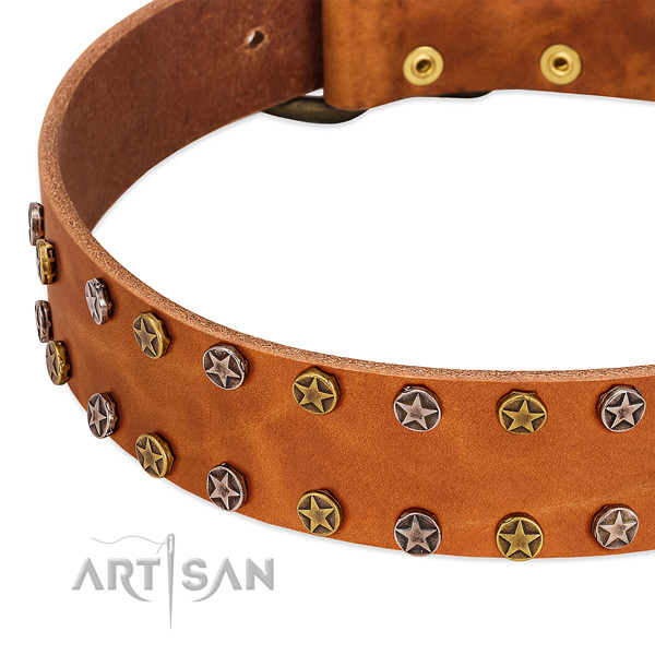 Comfy wearing full grain natural leather dog collar with inimitable studs