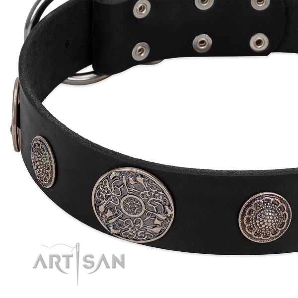 Reliable studs on genuine leather dog collar