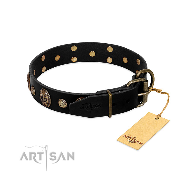 Rust resistant traditional buckle on full grain natural leather collar for fancy walking your canine