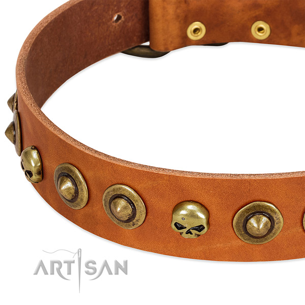 Unique adornments on full grain natural leather collar for your canine