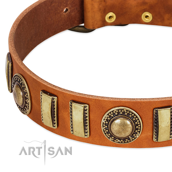 Reliable full grain natural leather dog collar with corrosion resistant fittings