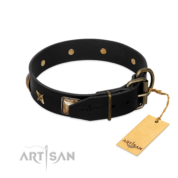 Corrosion resistant fittings on full grain genuine leather collar for walking your doggie