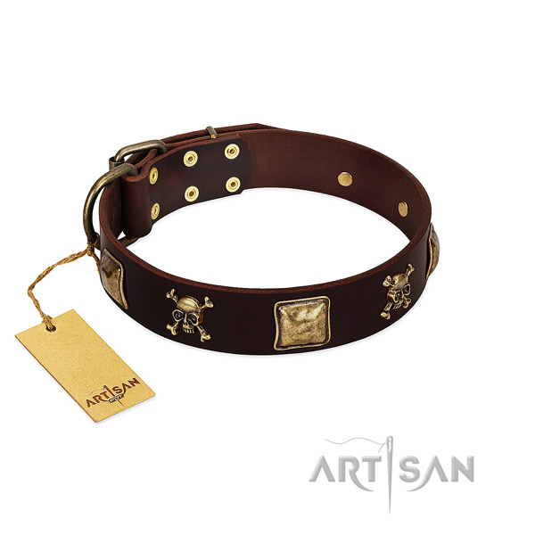 Soft to touch leather dog collar with significant studs