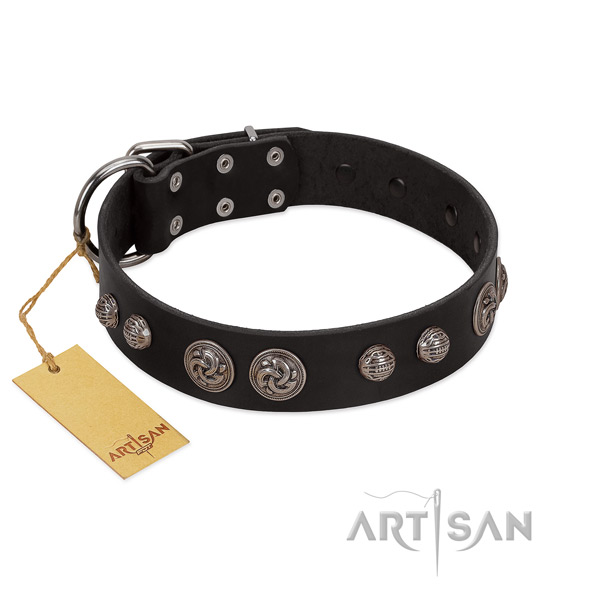 Studded full grain leather dog collar for daily use