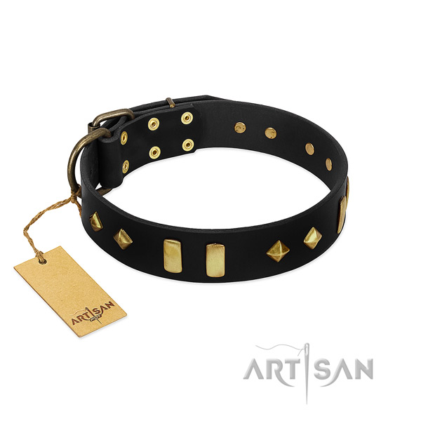 High quality full grain leather dog collar with extraordinary embellishments