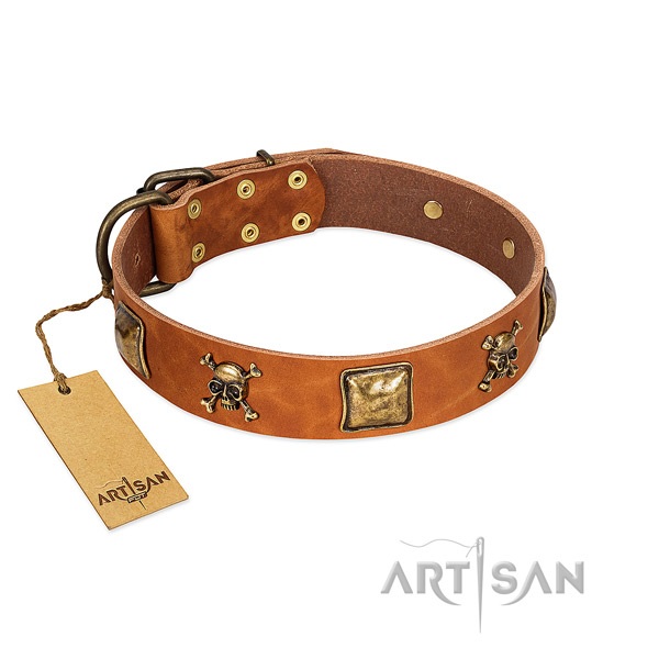 Top notch full grain leather dog collar with rust-proof embellishments