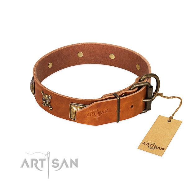 Extraordinary full grain leather dog collar with rust resistant adornments