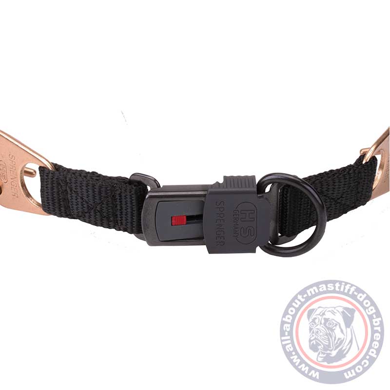 Buy Curogan Pinch Dog Collar | Training Mastiff Prong Collar