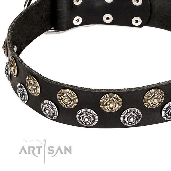Snugly fitted leather dog collar with resistant chrome plated hardware