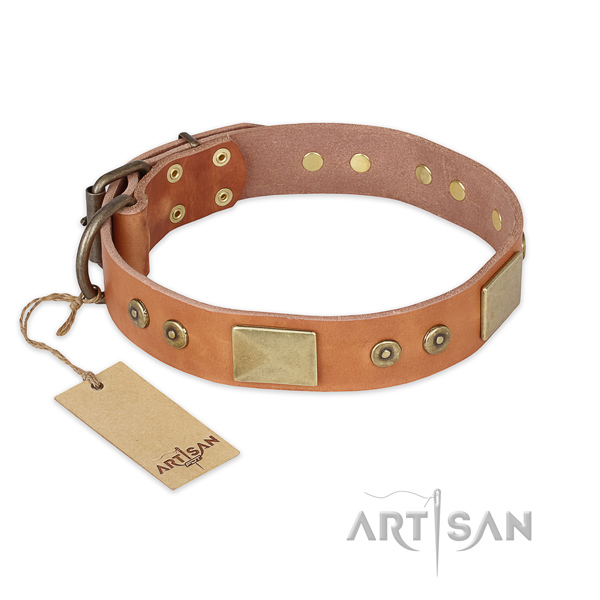 Stunning design studs on full grain leather dog collar