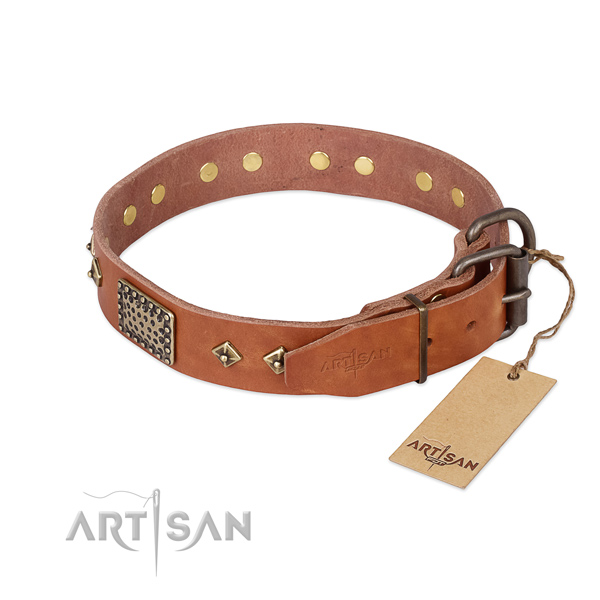 Walking full grain natural leather collar with decorations for your doggie