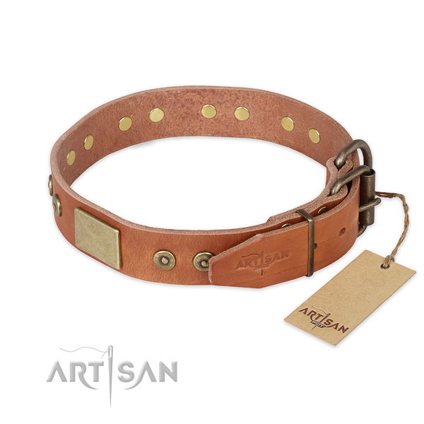 Walking full grain leather collar with embellishments for your dog